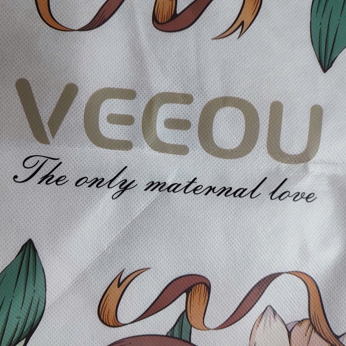 TÚI ĐỰNG GỐI CHỐNG TRÀO NGƯỢC VEEOU