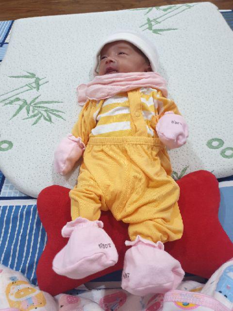 Review-goi-chong-trao-nguoc-Uala-rogo