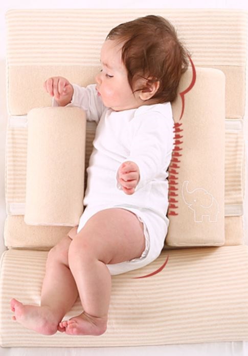 Review-goi-chong-trao-nguoc-sandesica