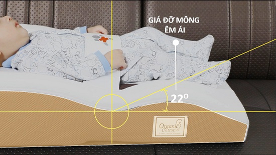 dem-chong-trao-nguoc-va-ngu-dung-tu-the-coza-baby-bed-lite