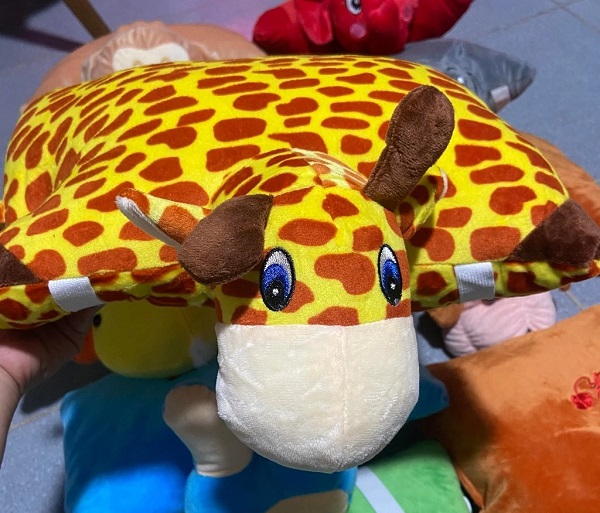 goi-di-xe-may-1-dau-hinh-thu-huou