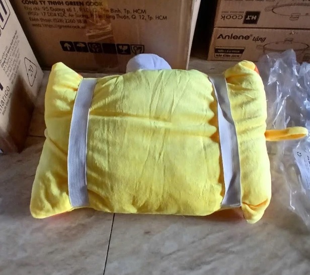 goi-di-xe-may-grow-h10