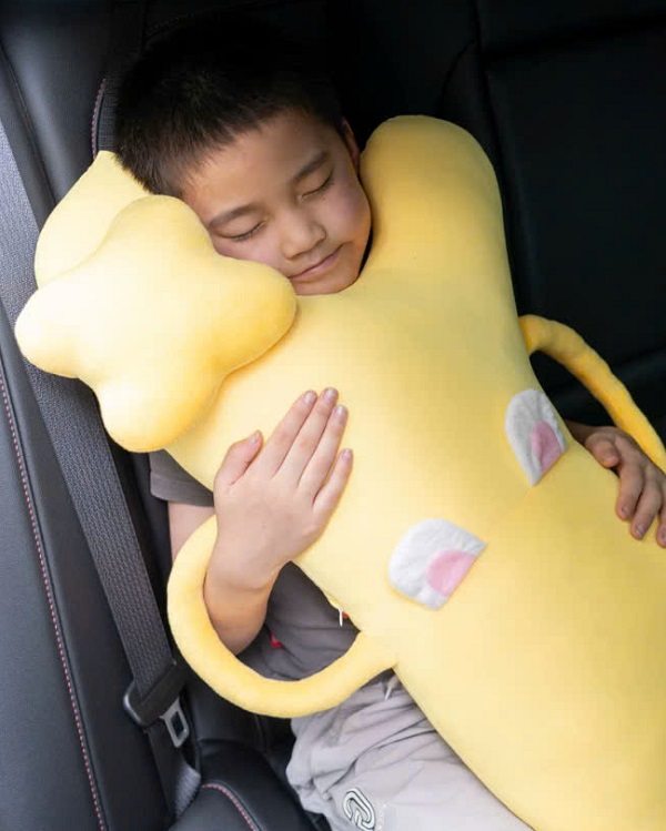 goi-di-xe-o-to-cho-be-chu-k-hinh-10