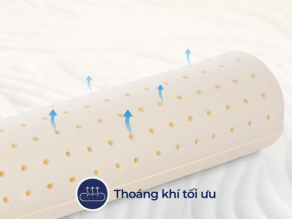 goi-om-cao-su-so-sinh-bolster-h6