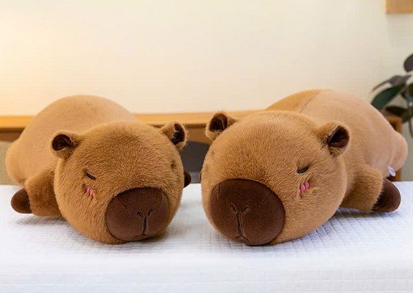 goi-om-capybara-h6