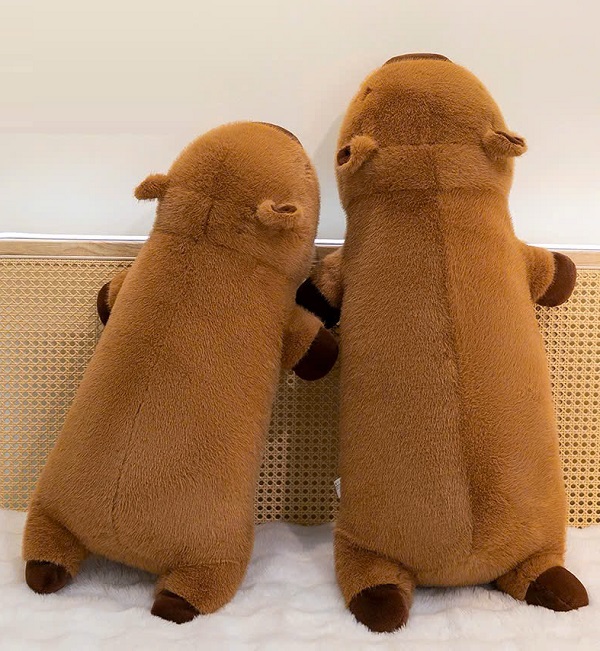 goi-om-capybara-h7