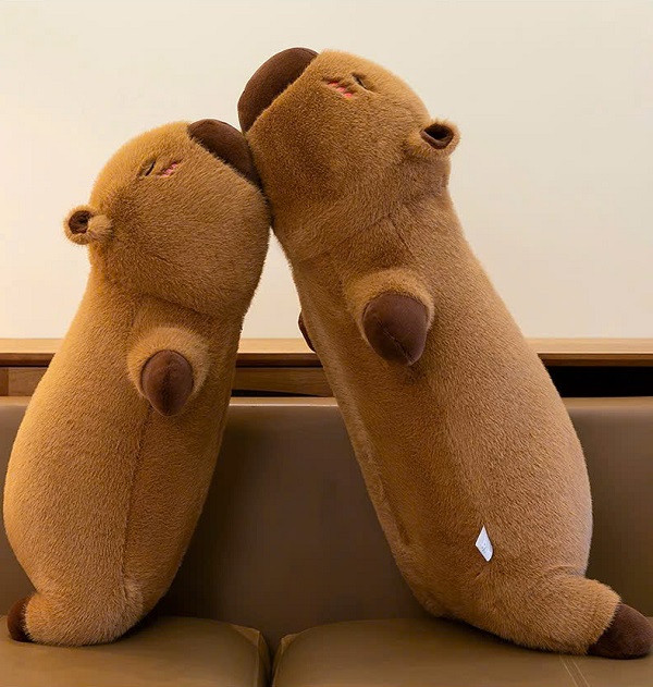 goi-om-capybara-h8