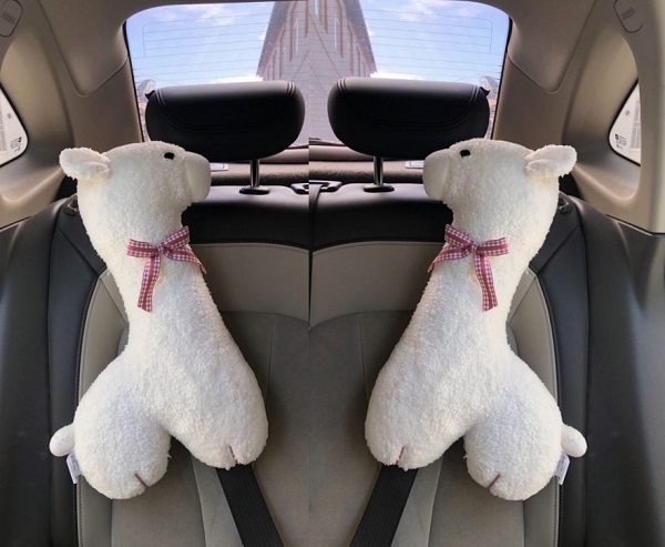 goi-om-di-xe-o-to-hinh-thu-cho-be-1079-10