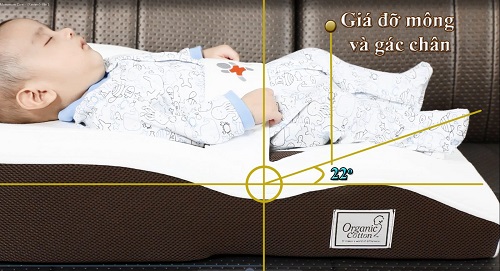 nem-ho-tro-chong-trao-nguoc-coza-baby-bed