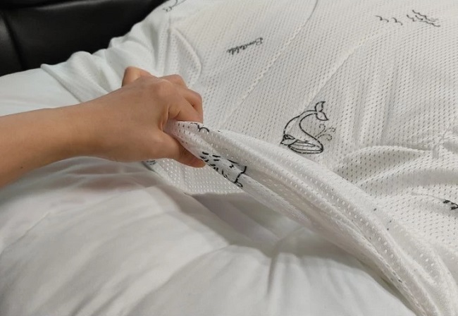 ruot-goi-chong-trao-nguoc-bonitabebe-h6