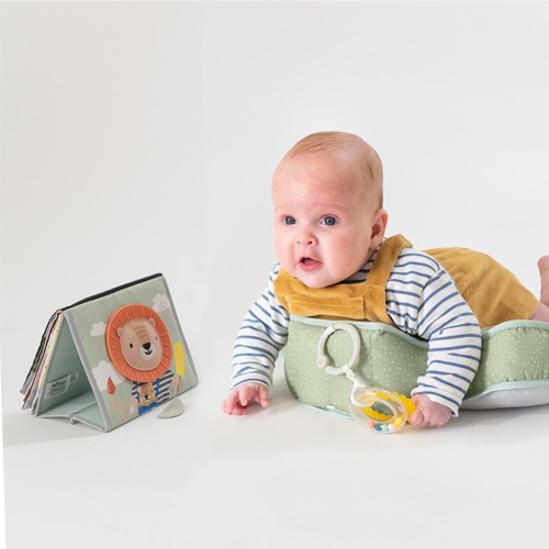 tummy-time-la-gi-huong-dan-tap-dung-cach-cho-tre-so-sinh-hinh-2